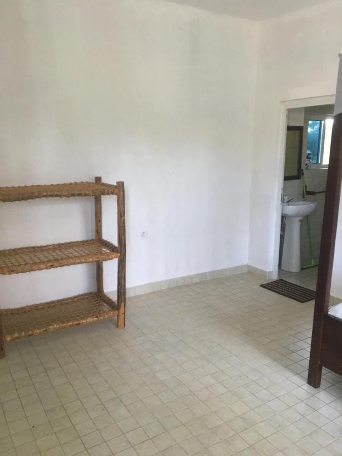 Tayana Place Apartment Kizimkazi Ngoại thất bức ảnh