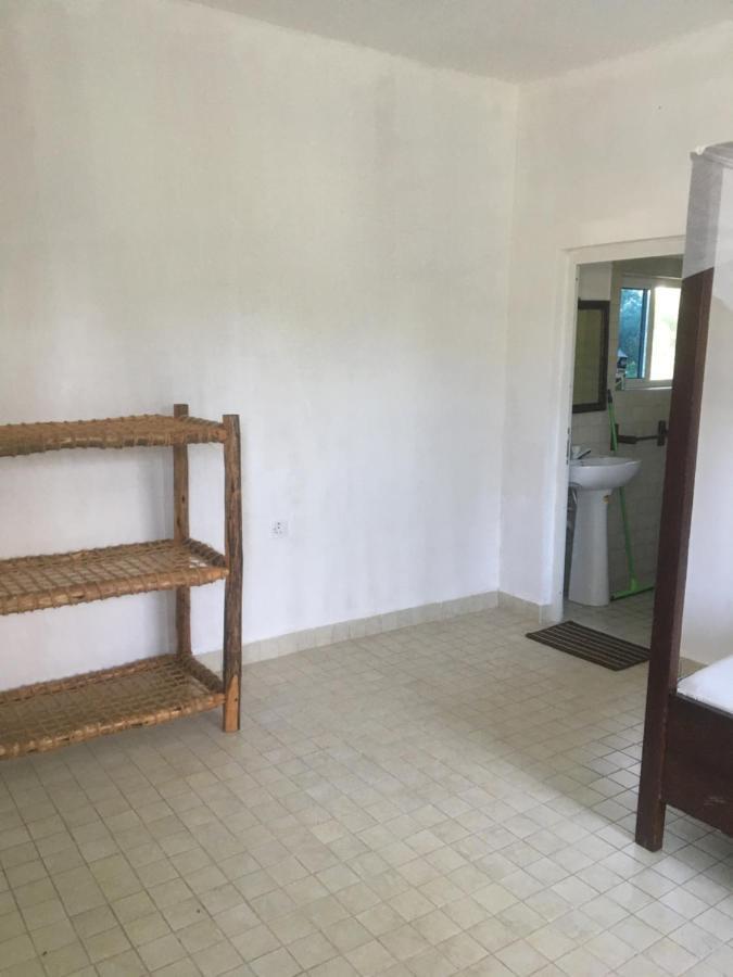 Tayana Place Apartment Kizimkazi Ngoại thất bức ảnh